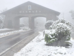 Imagem da notícia Onde ver neve no Brasil: 5 cidades com maior chance de nevasca no Inverno